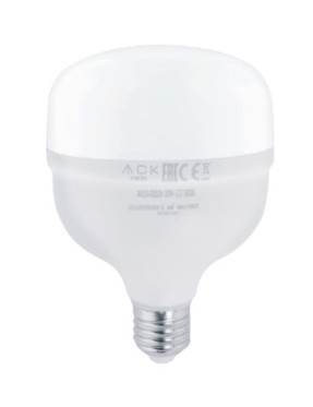 ACK AA13-06023 60W 220-240V E27 6500K T140 LED AMP