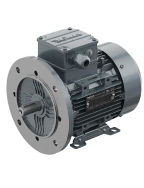 Elk 2EG180M4B 18,5 kW 1500 Devir Ayaklı Flanşlı Standart Tip Trifaze Elektrik Motoru Pik Gövde Mil Çapı 48 IE2