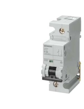Siemens 5SP4192-7 Otomatik Sigorta C 125A 1 Faz 10 kA 70 mm 4001869195100