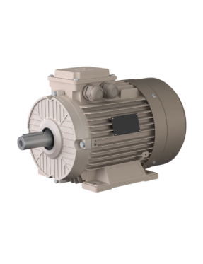 0,55 kW 1000 D/D 230V/400V Standart Motorlar B3