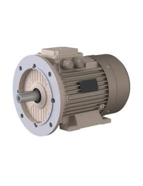 55 kW 1500 D/D 400V Standart Motorlar B35