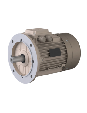 0,75 kW 1500 D/D 230V/400V Standart Motorlar B5