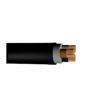 Taş NYY 2x10mm2 Alçak Gerilim Enerji Kablosu YVV-R