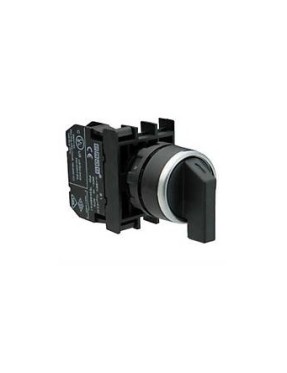 Emas B100S30 B Serisi Plastik 1NO (II-0-I) 60° Seçici Kalıcı 22 mm Buton