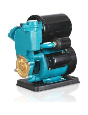 Momentum PKSM130 Sürtme Fanlı Pompa
