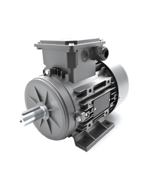 0,06 KW 1500 D/D ELEKTRİK MOTORU B14