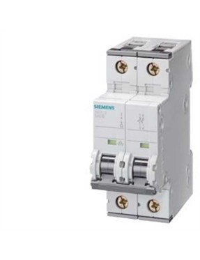 Siemens 5SY5213-7 C Tipi 2 Faz 13A 440VDC/400VAC 10kA Yavaş Karakterli Otomatik Sigorta