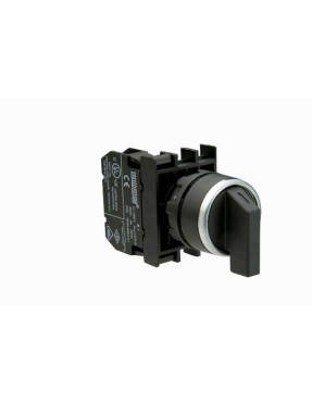 Emas B102S20 B Serisi Plastik 1NO+1NC (0-I) 60° Seçici Kalıcı 22 mm Buton