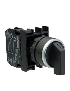 Emas B101S20 B Serisi Plastik 2NO (0-I) 60° Seçici Kalıcı 22 mm Buton