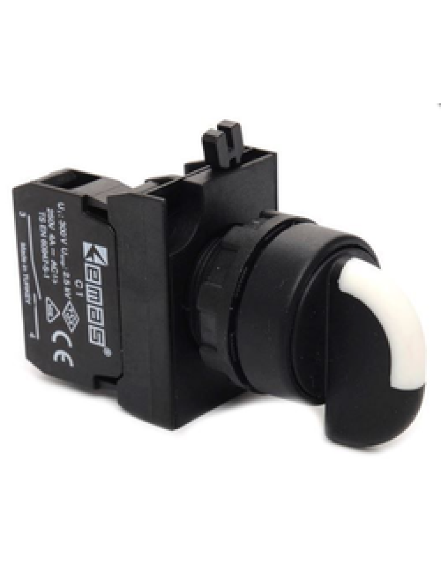 Emas CP101S30 CP Serisi Plastik 2NO (II-0-I) 60° Seçici Kalıcı 22 mm Buton Emas Cp101S30 C Plastik Çift Start Tarafı Seçici(2-0-1) Dönüşlü