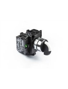 Emas CM303S30 CM Serisi Metal 2NO+2NO (II-0-I) 60° Seçici Kalıcı 22 mm Buton