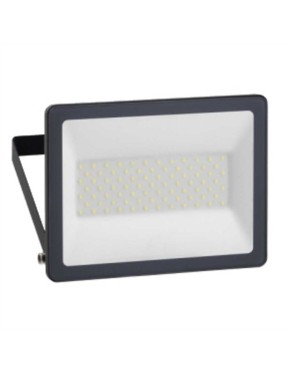 Schneider IMT47213 50W 6500K LED Projektör IP65 230V