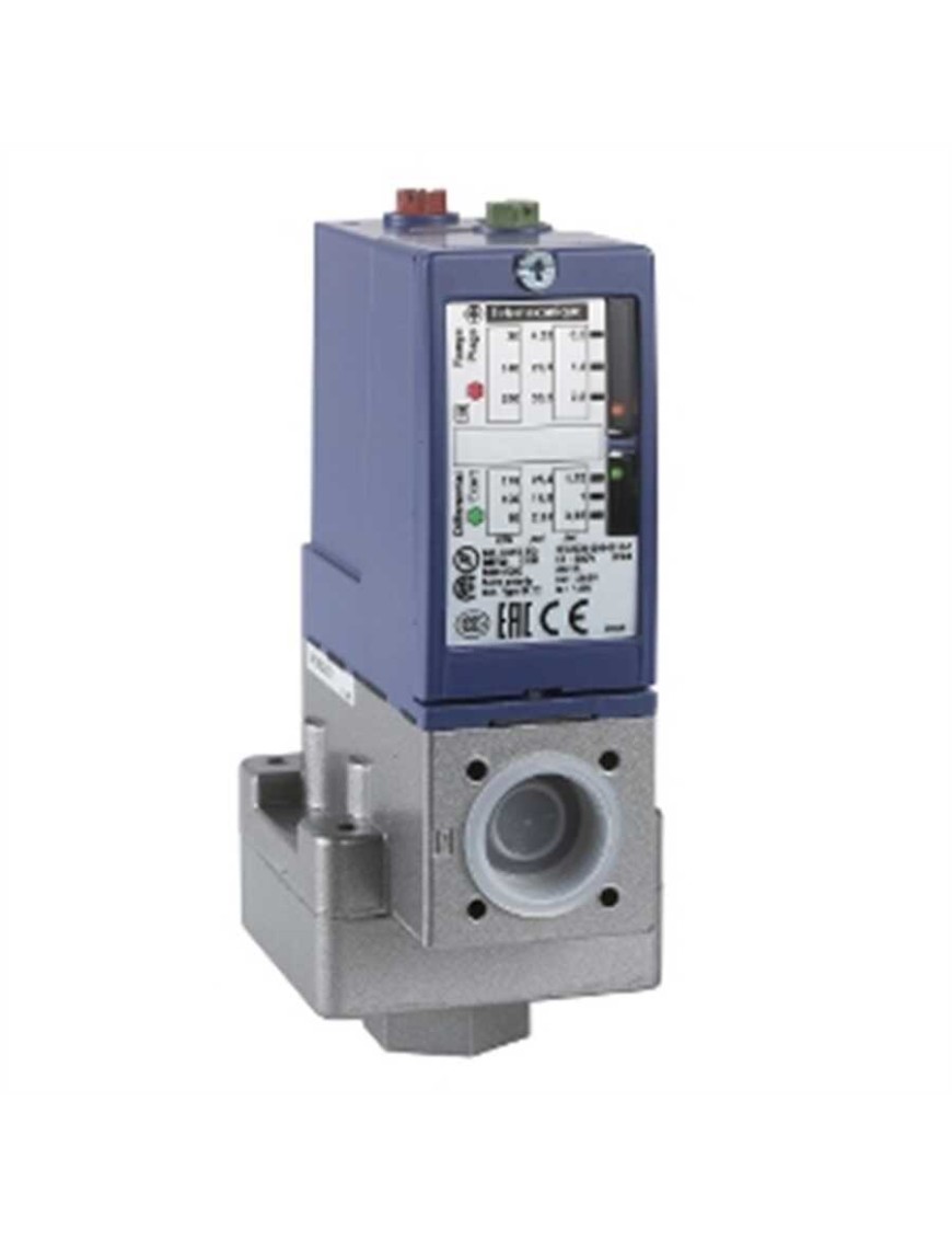 Telemecanique XMLBM02V2S11 Vakum Anahtarı XMLB -1 bar - Ayarlanabilir Skala 2 Eşik - 1 K/A Schneider Xmlbm02V2S11 Vakum Anahtarı 1 Bar-Ayarlanabilir 2 Eşik-1 K/A