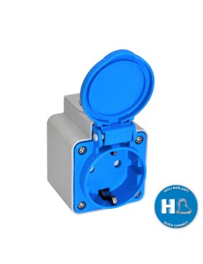 Tp Electric 3101-422-0900 1X16A Duvar Tipi Pano Prizi Çocuk Korumalı Mavi Hızlı Bağlantı IP54